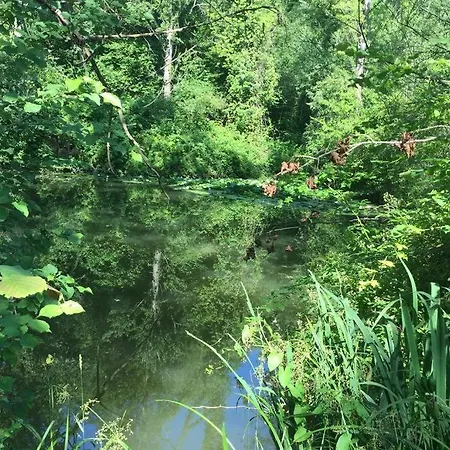 Relax Tra Le Vigne Feriehus
