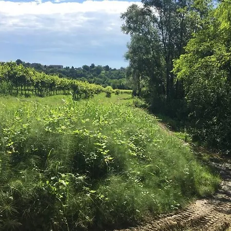 Relax Tra Le Vigne Feriehus *