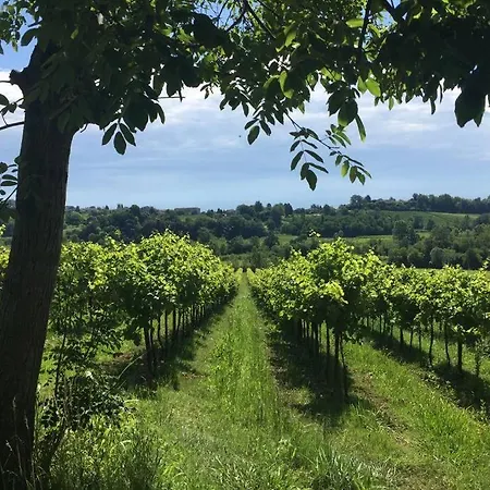 Feriehus Relax Tra Le Vigne Bagnolo (Treviso)
