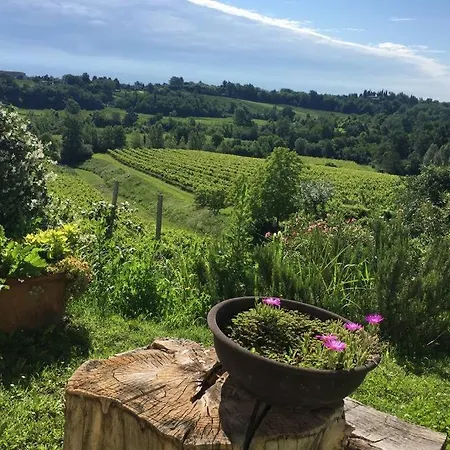 Relax Tra Le Vigne Feriehus