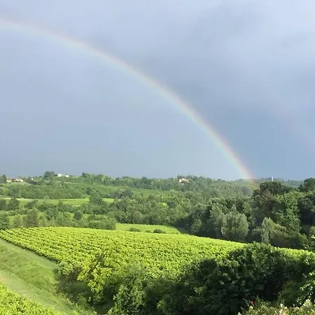 Relax Tra Le Vigne